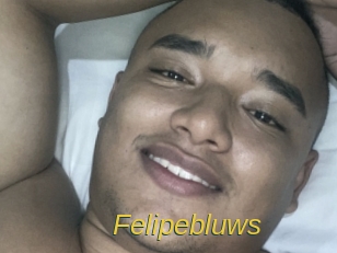 felipebluws Archive DVD ORG