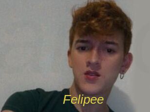 felipee Archive DVD ORG