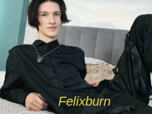 Felixburn