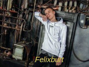 Felixburt