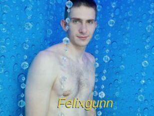 Felixgunn