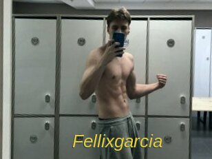 Fellixgarcia