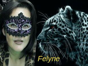 felyne Archive DVD ORG