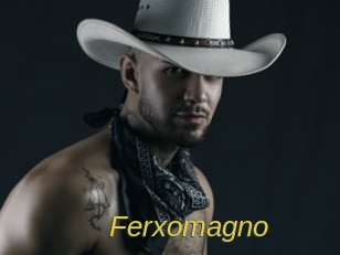 ferxomagno Archive DVD ORG