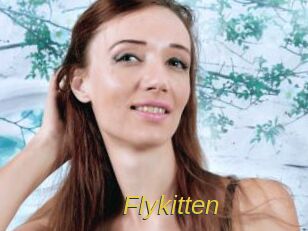 Flykitten