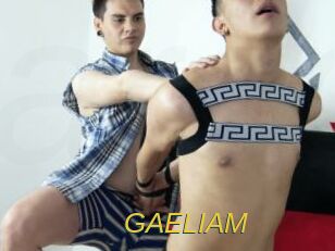 GAELIAM Archive DVD ORG