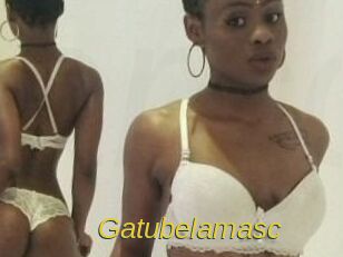 Gatubela_masc