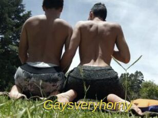 Gaysveryhorny
