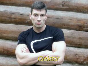 Gektor