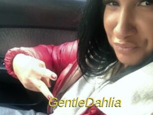 GentleDahlia