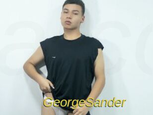 GeorgeSander