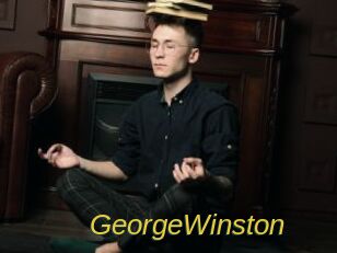 GeorgeWinston Archive DVD ORG
