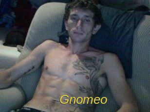 Gnomeo