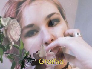 Grothia