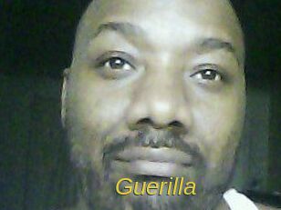 Guerilla Archive DVD ORG
