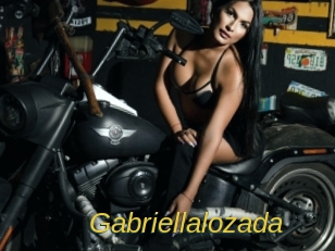 gabriellalozada Archive DVD ORG