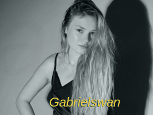 gabrielswan Archive DVD ORG