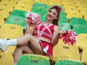gabyblosom Archive DVD ORG