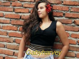 Gabyharvey