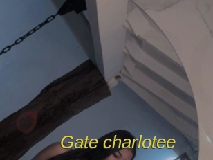Gate_charlotee