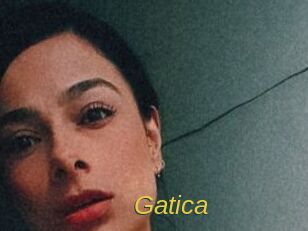 gatica Archive DVD ORG