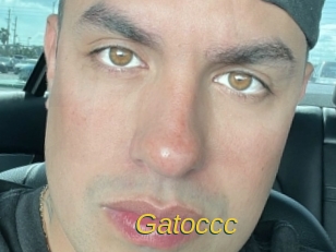 Gatoccc