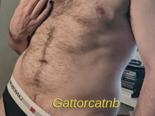 Gattorcatnb