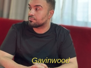 gavinwood Archive DVD ORG