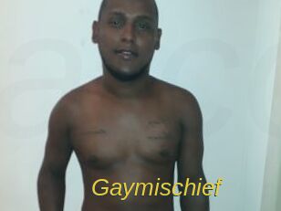 gaymischief Archive DVD ORG