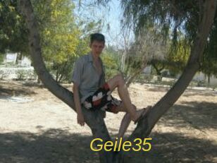 geile35 Archive DVD ORG