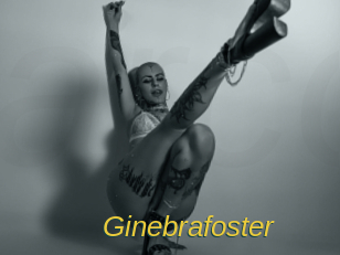 Ginebrafoster