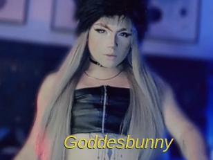 goddesbunny Archive DVD ORG