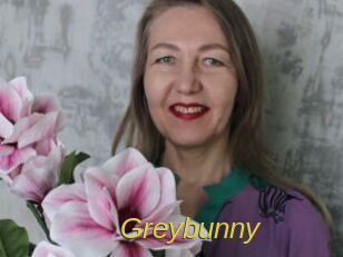Greybunny