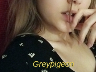 greypigeon Archive DVD ORG