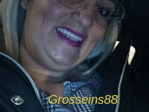 Grosseins88