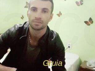 gruia Archive DVD ORG