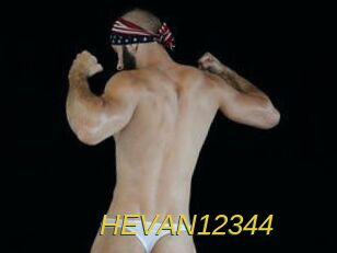 HEVAN12344