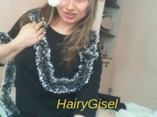 HairyGisel Archive DVD ORG