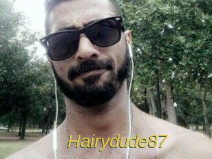 Hairydude87