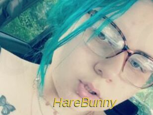 HareBunny