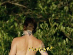 HarleyM