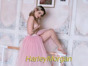 HarleyMorgan