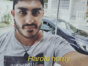 Harold_horny