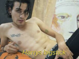 Harrys_bigstick