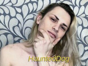 HauntedDog