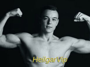 HeilgarVip
