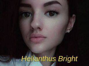 Helianthus_Bright
