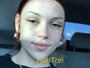 HoriTori