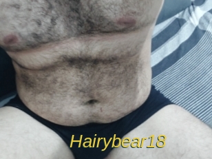 Hairybear18
