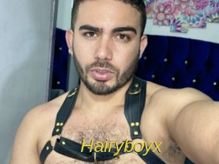hairyboyx Archive DVD ORG